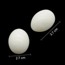 Ovos Falsos de Pássaro/Pombo – Ovos Decorativos para Ninho, Avicultura, Páscoa e Artesanato DIY 🥚✨