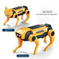 Cachorro Robô Solar de 4 Patas – Brinquedo Educativo de Montar