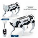 Cachorro Robô Solar de 4 Patas – Brinquedo Educativo de Montar